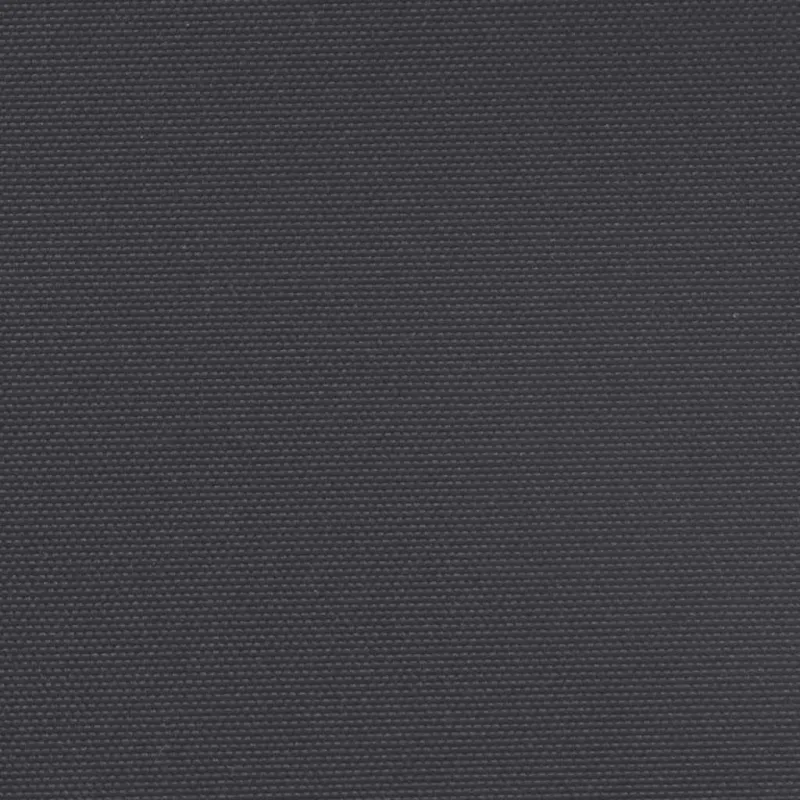 Ištraukiama šoninė markizė, juodos spalvos, 160x300cm