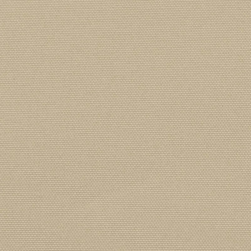 Ištraukiama šoninė markizė, smėlio spalvos, 200x300cm