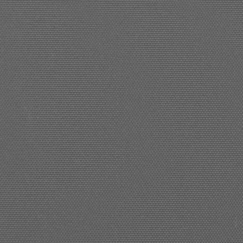 Ištraukiama šoninė markizė, antracito spalvos, 160x500cm