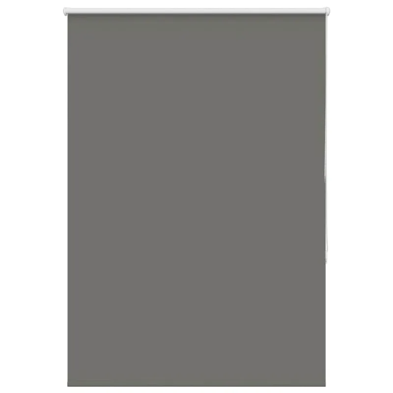 roletas smėlio Pilka 110x175 cm audinio plotis 105,7 cm