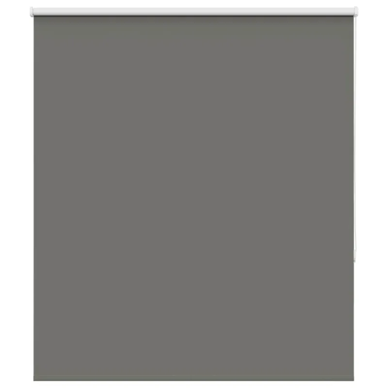roletas smėlio Pilka 120x175 cm audinio plotis 116,6 cm