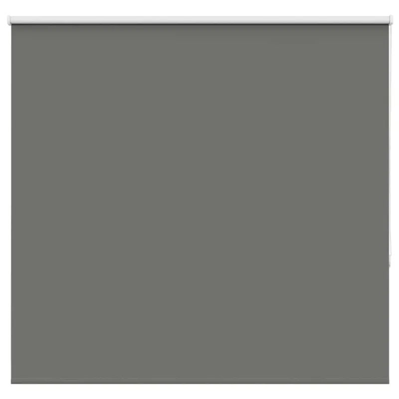 Roletas Blackout smėlio Pilka 160x175 cm Audinio plotis