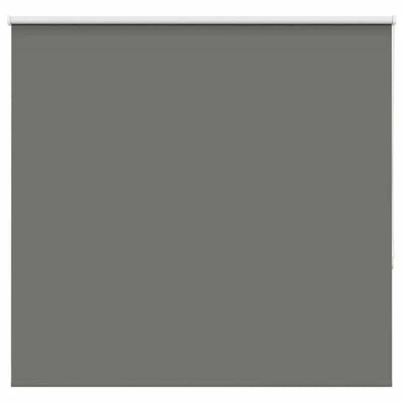 roletas smėlio Pilka 165x175 cm audinio plotis 161,6 cm