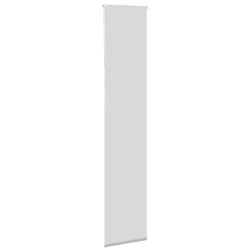 roletas smėlio šviesiai pilka 60x210 cm audinio plotis 55,7 cm