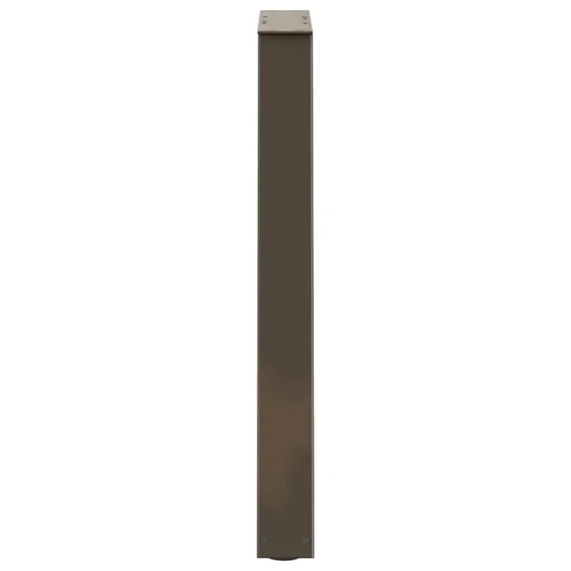 Valgomojo stalo kojelės, V formos, 2 vnt., natūralus plienas, 50x(72-73,3) cm, plienas
