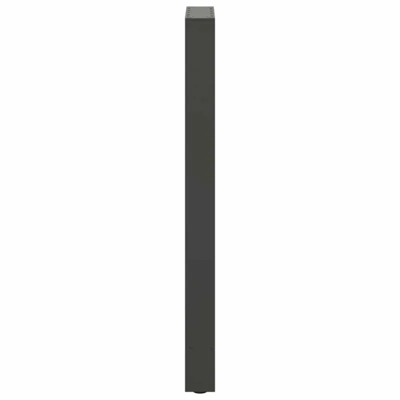 Baro stalo kojos, antracito spalvos, 2 vnt., 40x(100-101) cm, plienas