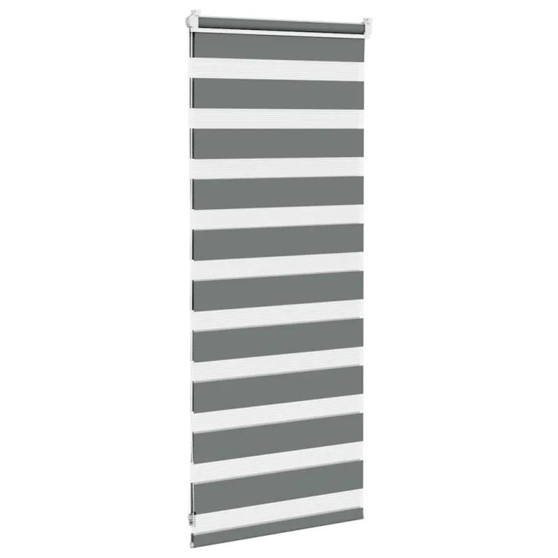 zebrinės žaliuzės 55x100 cm audinio plotis 50,9 cm poliesteris