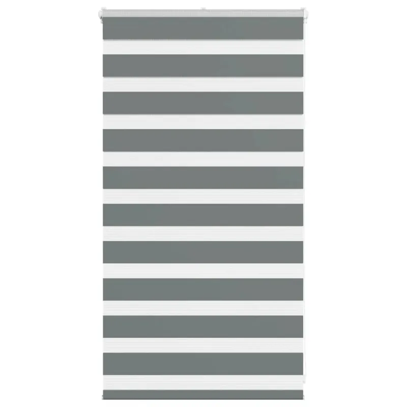 zebrinės žaliuzės 70x100 cm audinio plotis 65,9 cm poliesteris