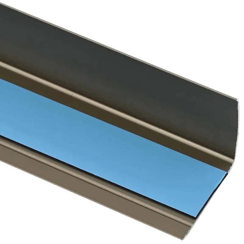 Laiptų profiliai 10 pcs šampano 67 x 3 x 2 cm Aliuminis