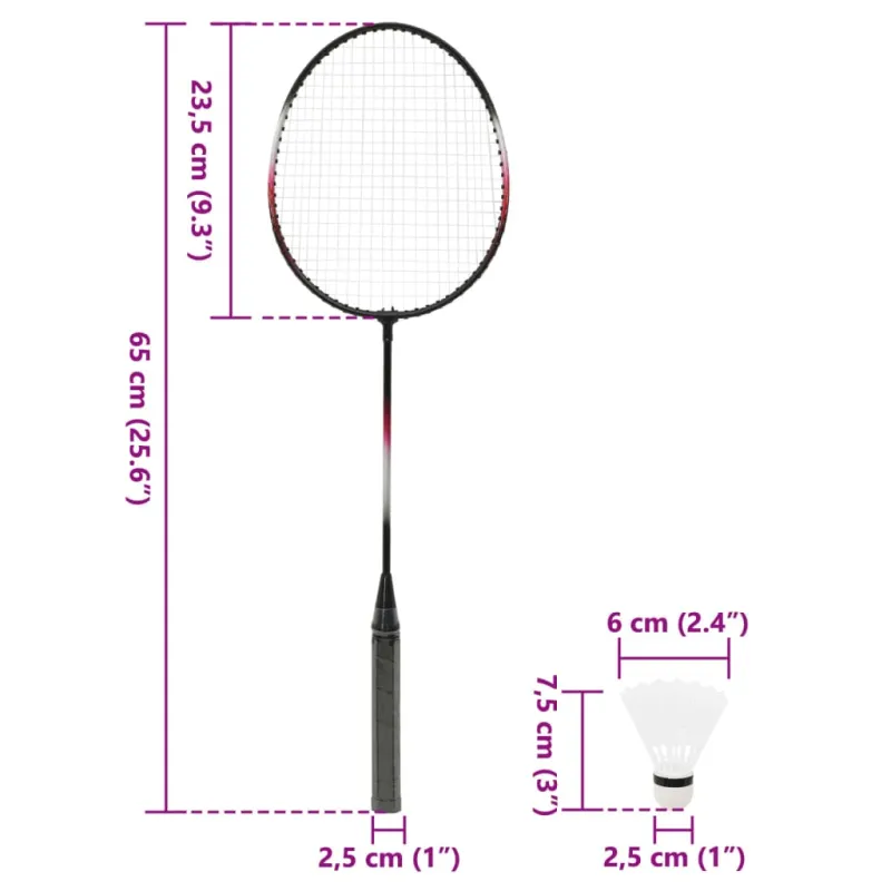 Badmintono rinkinys su 2 raketėmis/tinkleliu, 292x30x152cm