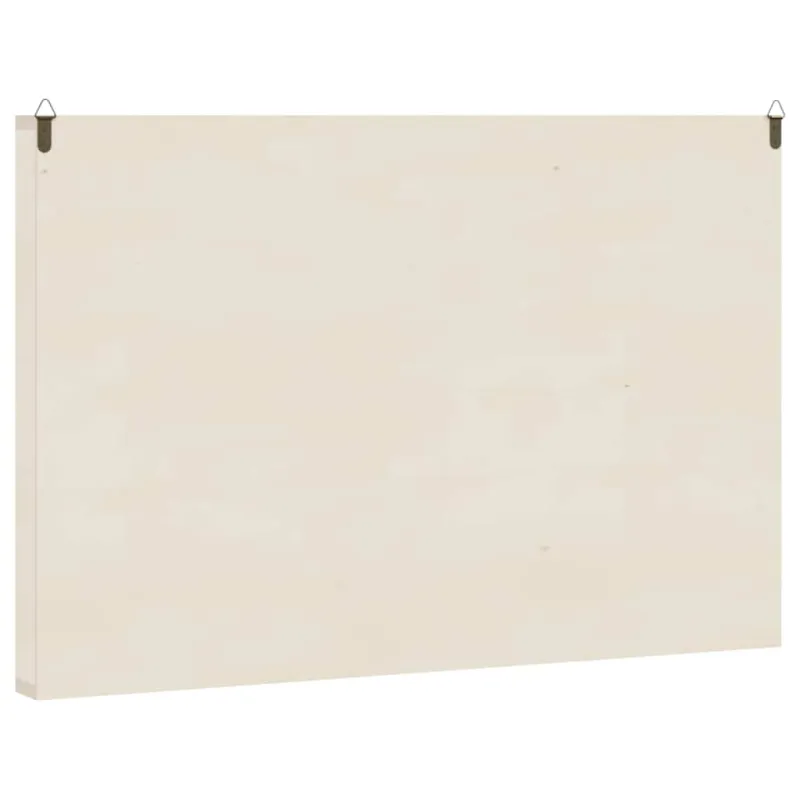Medinė kolekcinė vitrina su 60 skyrių, 60x4,5x40,5 cm