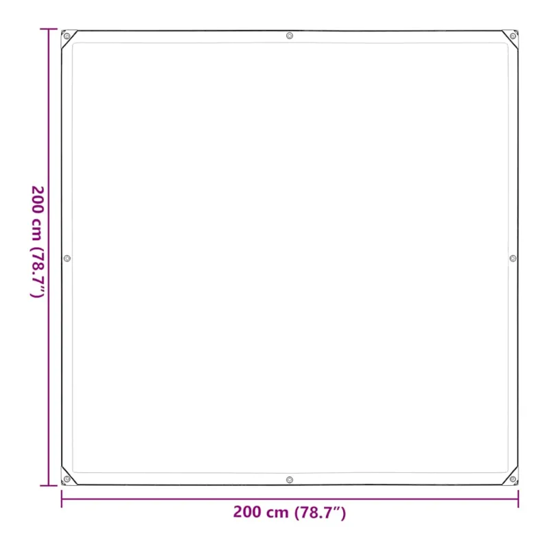 Skaidrus brezentas su kilpelėmis, 2x2 m, polietilenas
