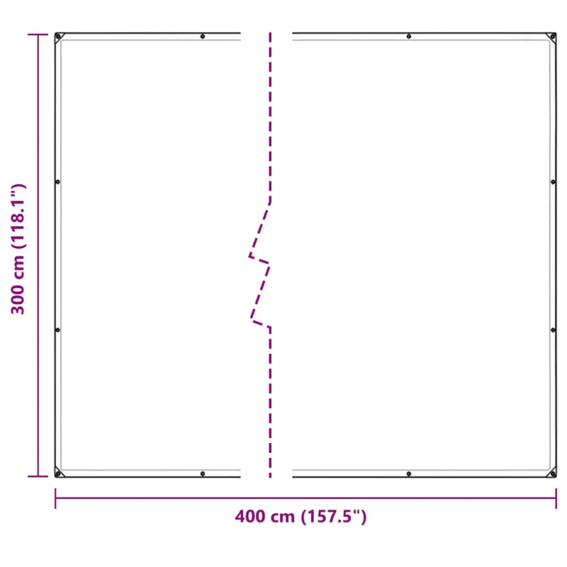 Skaidrus brezentas su kilpelėmis, 3x4 m, polietilenas