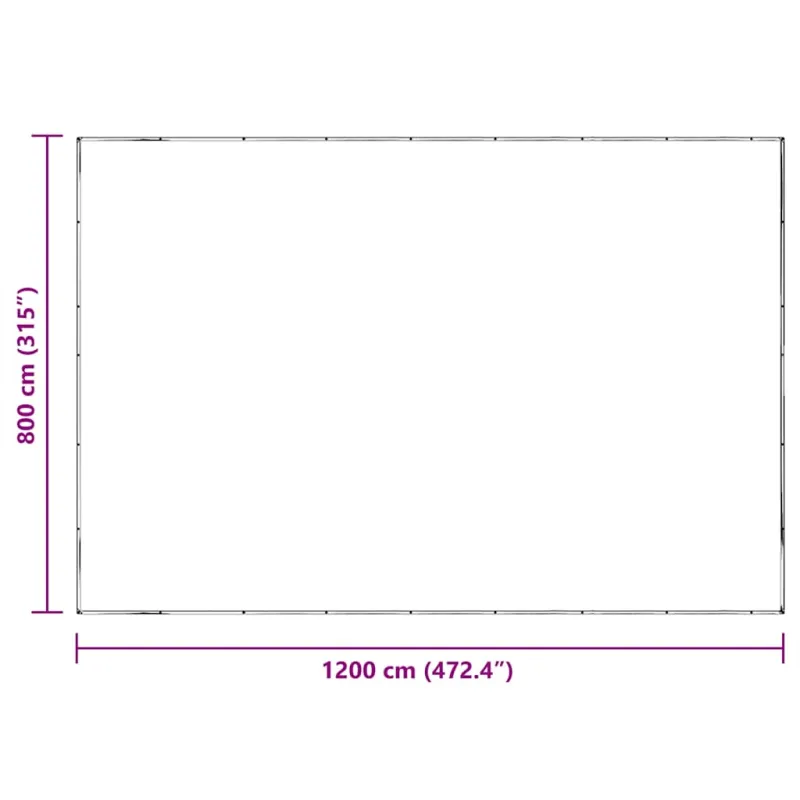 Skaidrus brezentas su ąselėmis 8x12 m polietilenas