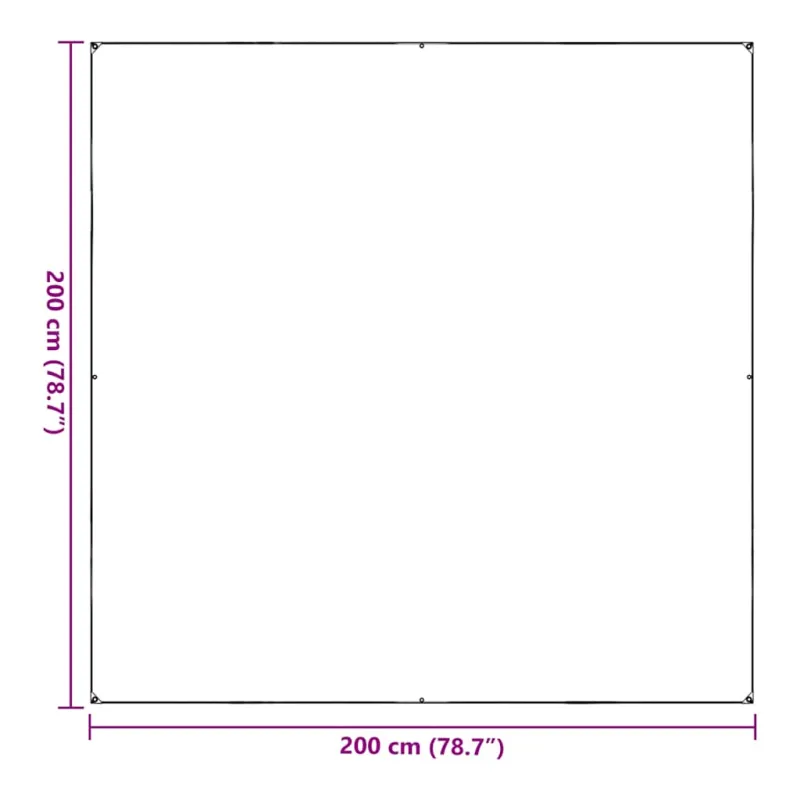 Skaidrus brezentas su kilpelėmis, 2x2 m, PVC