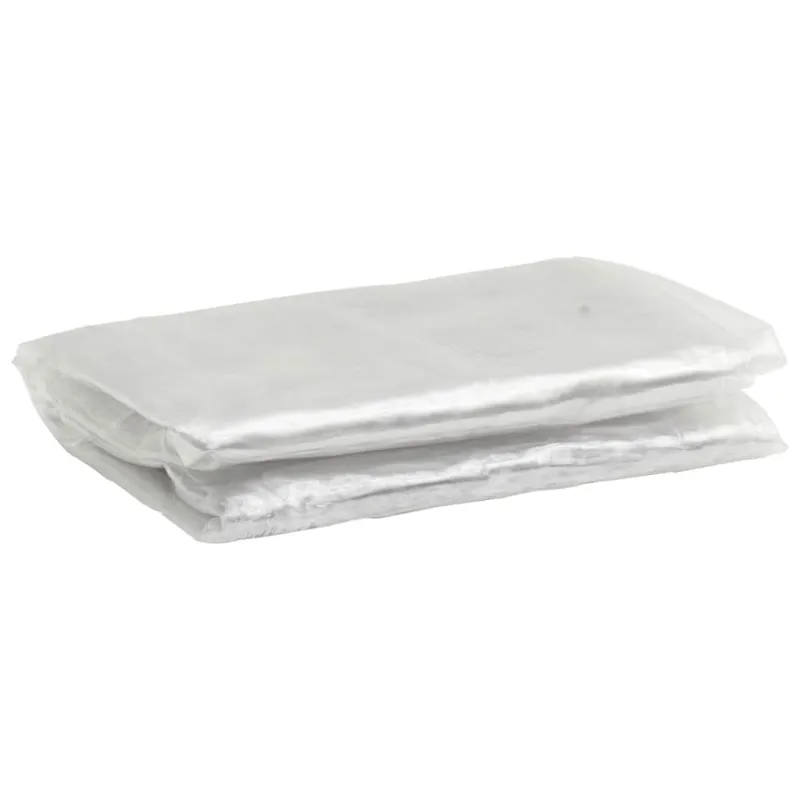 Skaidrus brezentas su ąselėmis 2x3 m PVC