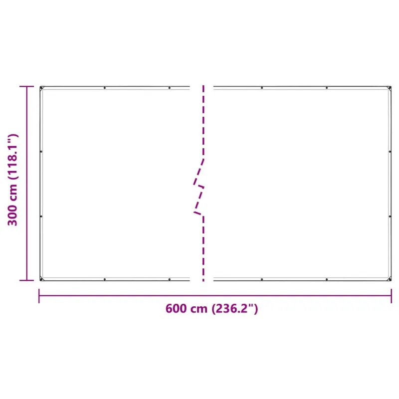 Skaidrus brezentas su kilpomis 3x6 m PVC
