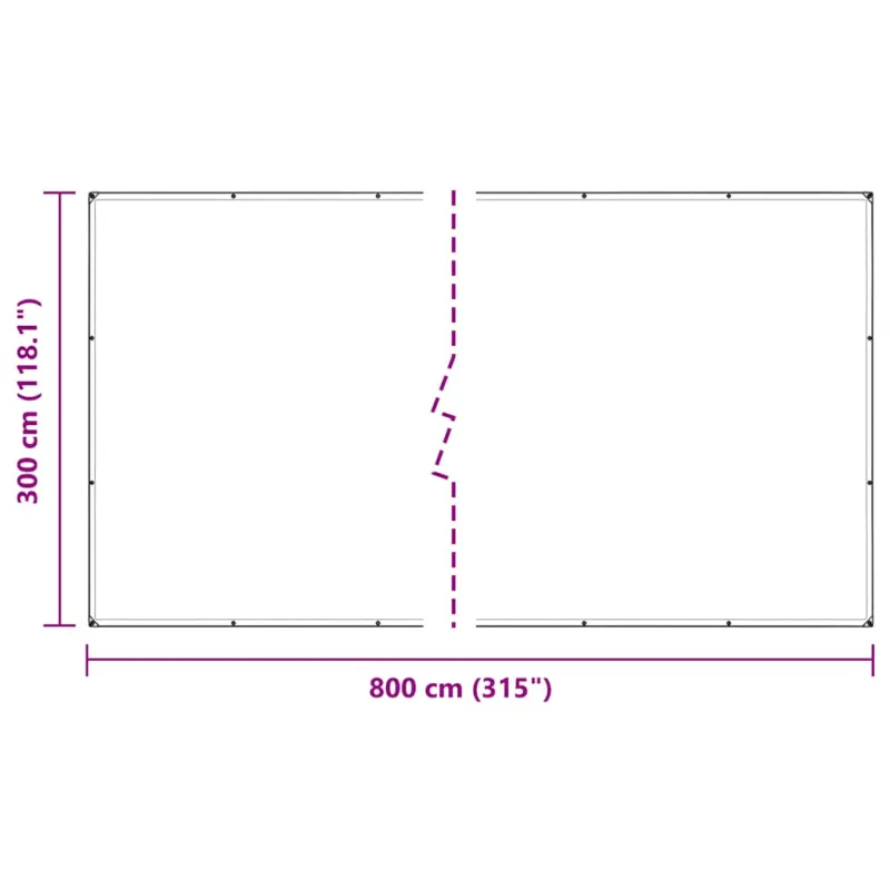 Skaidrus brezentas su kilpomis 3x8 m PVC