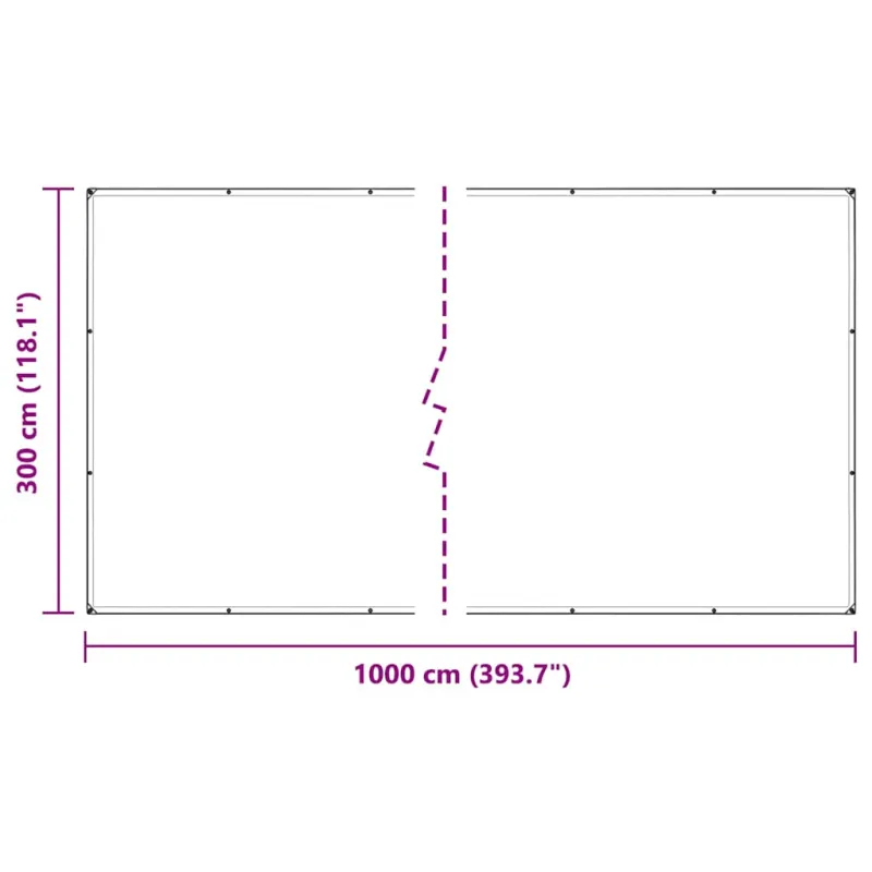 Skaidrus brezentas su kilpomis 3x10 m PVC