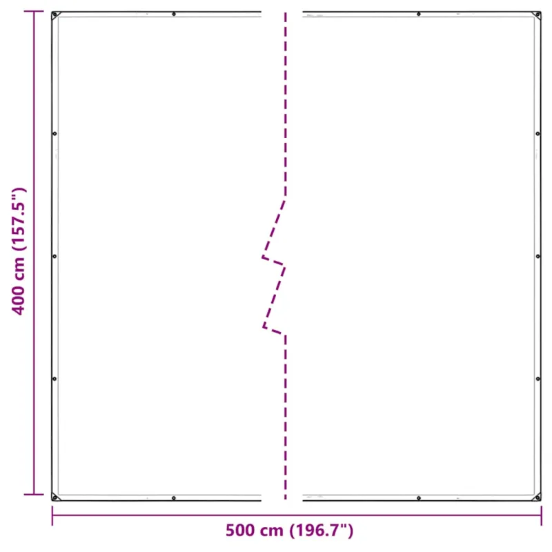 Skaidrus brezentas su ąselėmis 4x5 m PVC