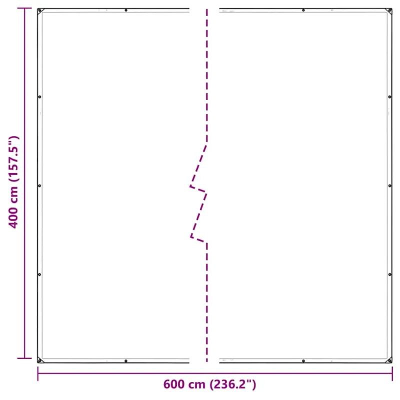 Skaidrus brezentas su ąselėmis 4x6 m PVC