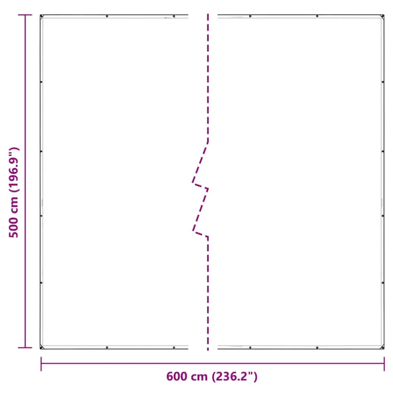 Skaidrus brezentas su ąselėmis 5x6 m PVC