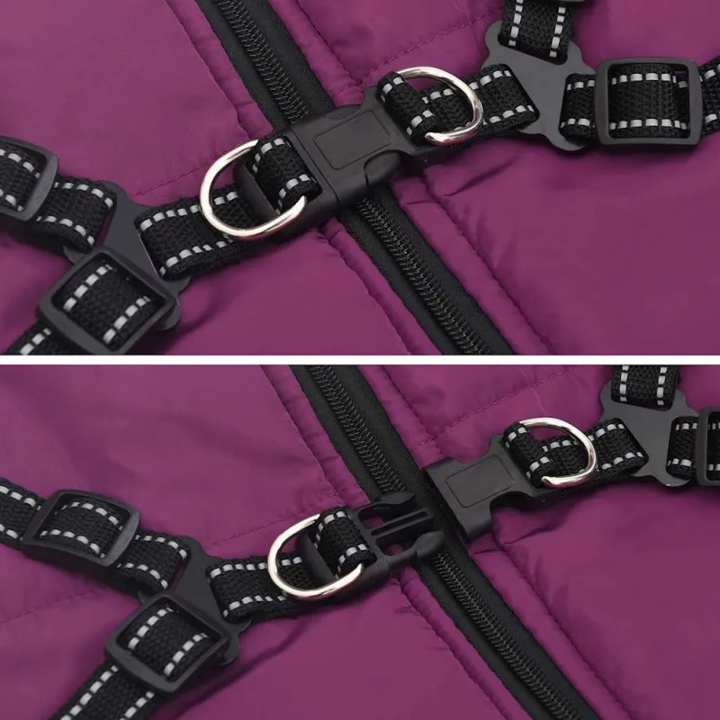 Šunų kailis su diržais, atsparus vandeniui, violetinis, L48