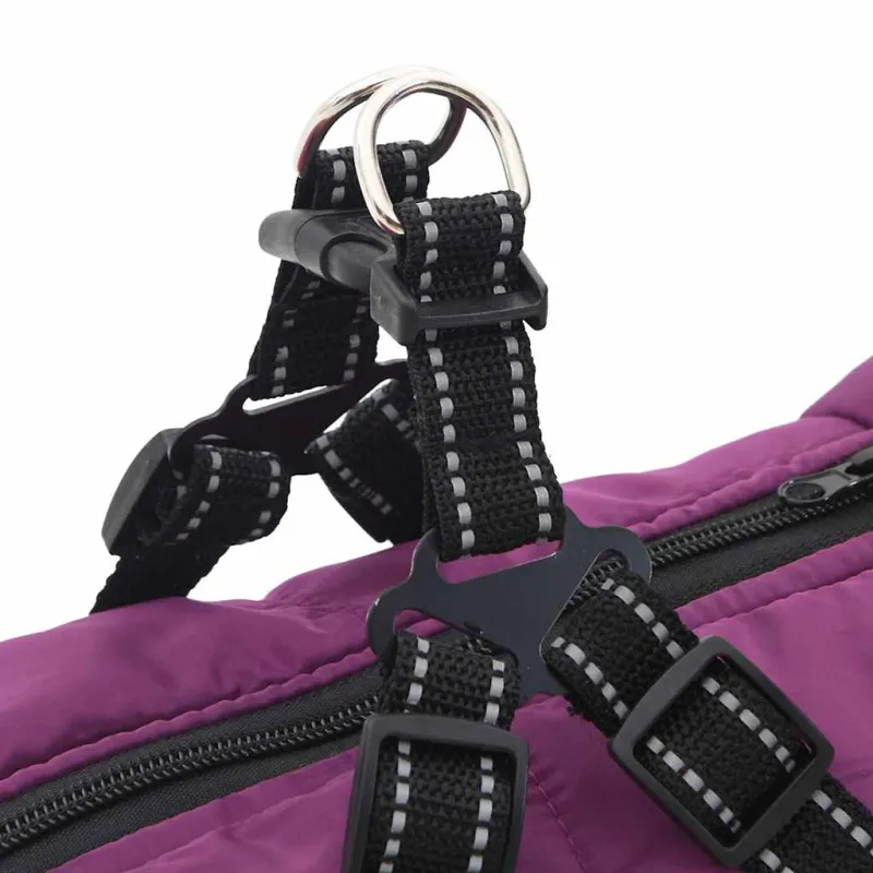 Šunų kailis su diržais, atsparus vandeniui, violetinis, L48
