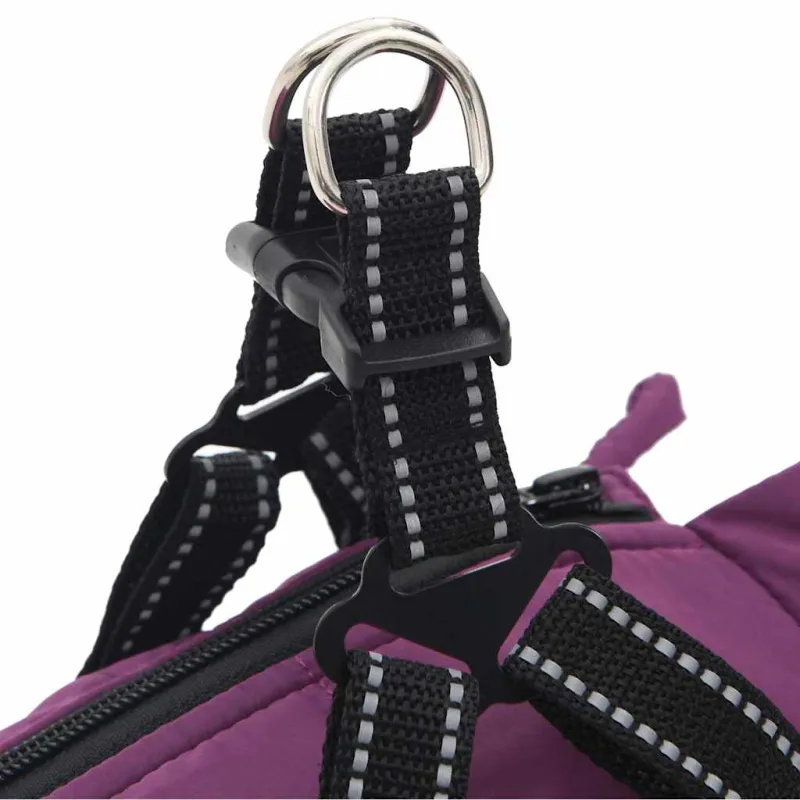 Šunų kailis su diržais, atsparus vandeniui, violetinis, L24