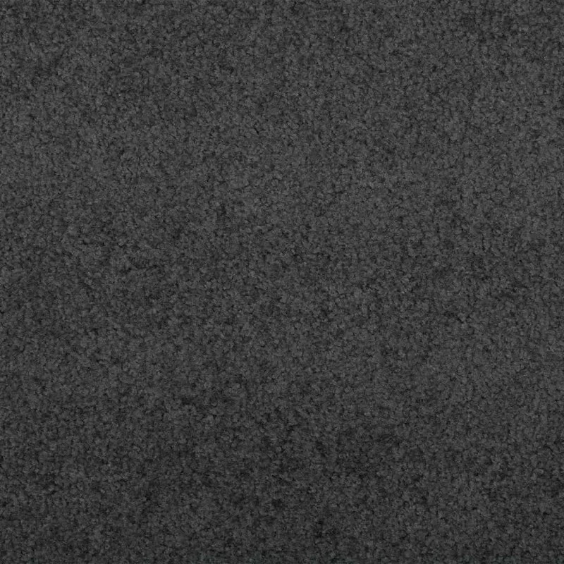 Durų kilimėlis Antracito ir juoda 120 x 350 cm 100% poliamidas