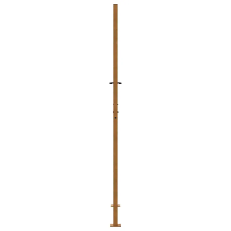 Sodo vartai, 100x200 cm, atsparūs oro sąlygoms, plienas, su atbrailomis