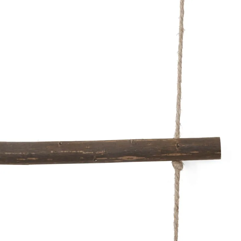 sienų dekoravimo kopėčios formos 50x150 cm Natural Branch