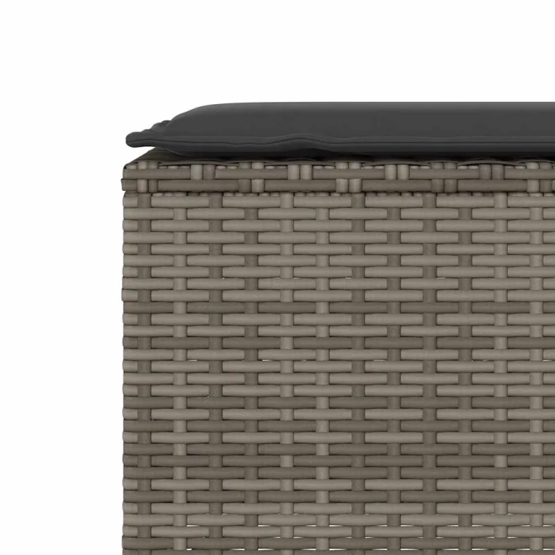 sodo suolas su pagalvėlė pilka 110x30x40,5 cm poliratanas