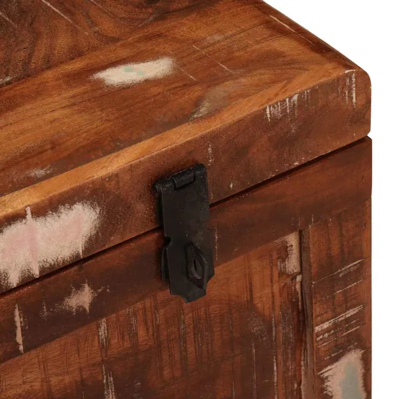 Saugojimo dėžė su saugykla su durimis Ruda Kietas mango medis
