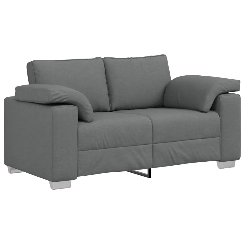 Dvivietė sofa Tamsiai pilka 160 cm audinys