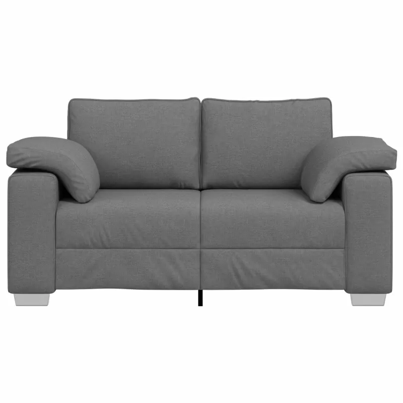 Dvivietė sofa Tamsiai pilka 160 cm audinys
