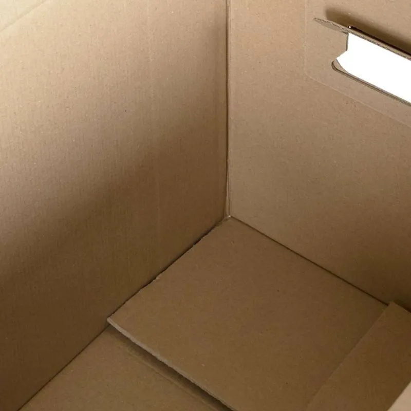 Kraustymo dėžė 20 pcs Natūrali 59 x 31,5 x 31,5 cm Kartonas