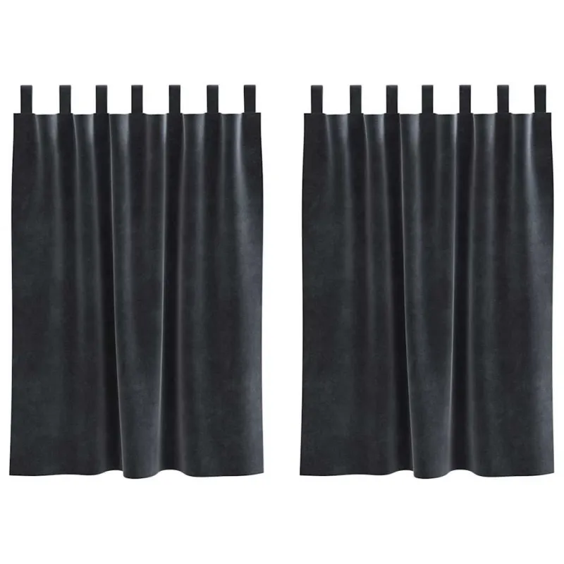 Užtemdymo užuolaidos 2 pcs Tamsiai pilka 140 x 140 cm Aksomas