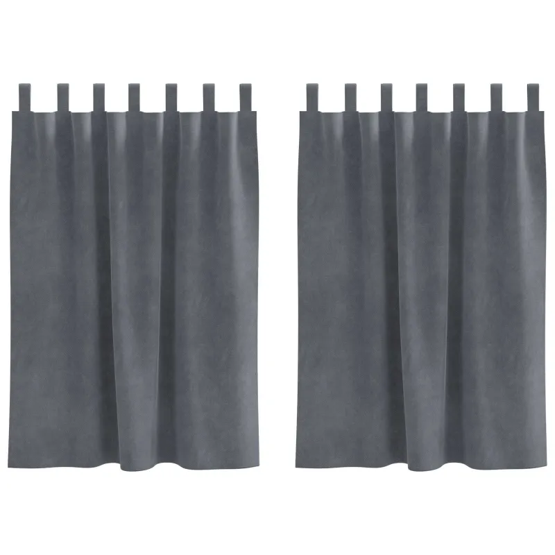 Užtemdymo užuolaidos 2 pcs Šviesiai pilka 140 x 140 cm Aksomas