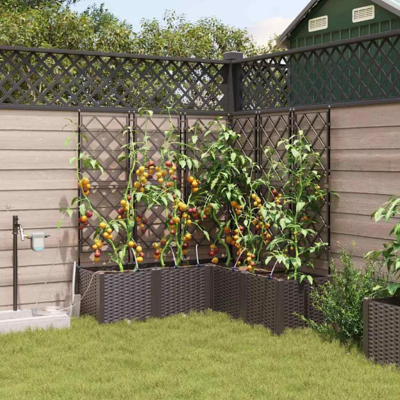Sodo vazonas 5 pcs Ruda 120 x 120 x 142 cm Plastmasė