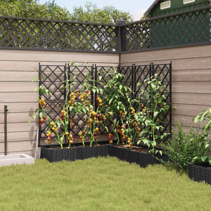 Sodo vazonas 5 pcs Juodas 120 x 120 x 125,5 cm Plastmasė