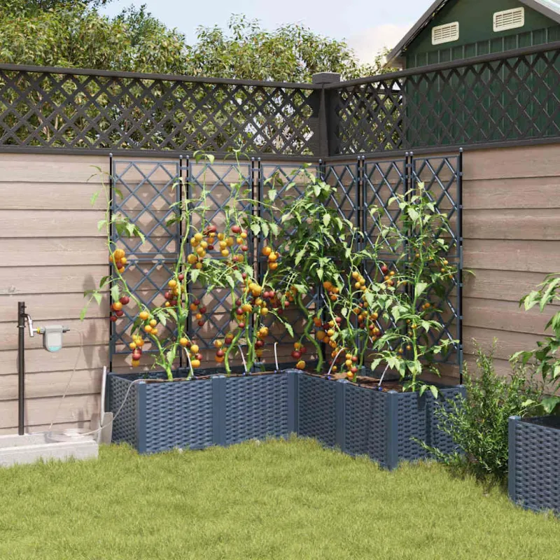 Sodo vazonas 5 pcs Pilka 120 x 120 x 142 cm Plastmasė
