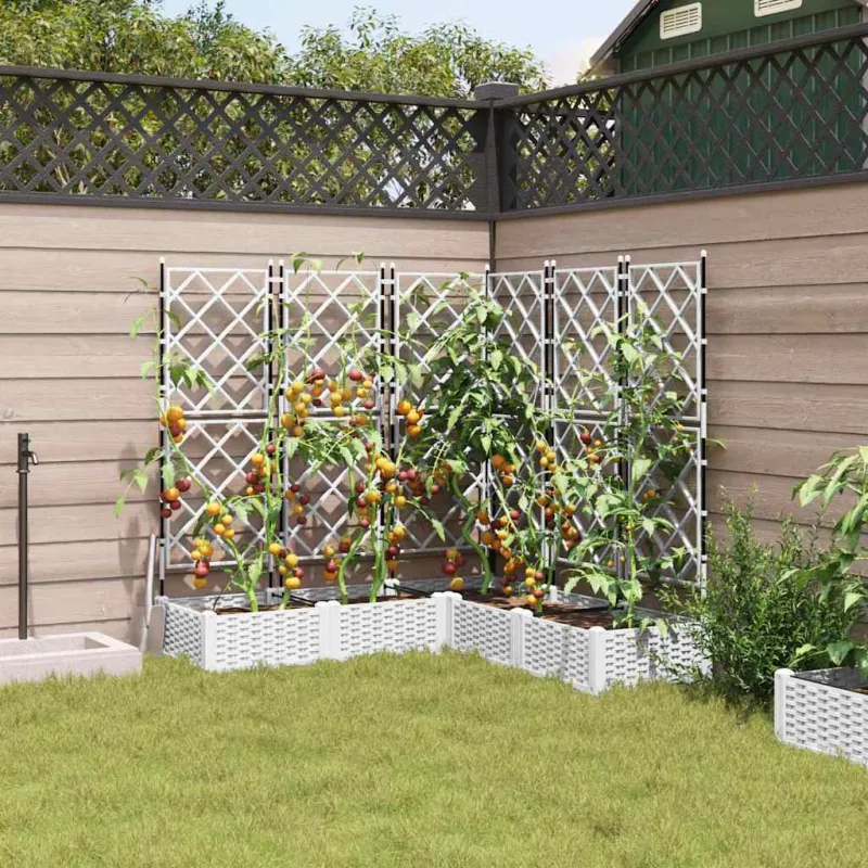Sodo vazonas 5 pcs Baltas 120 x 120 x 125,5 cm Plastmasė