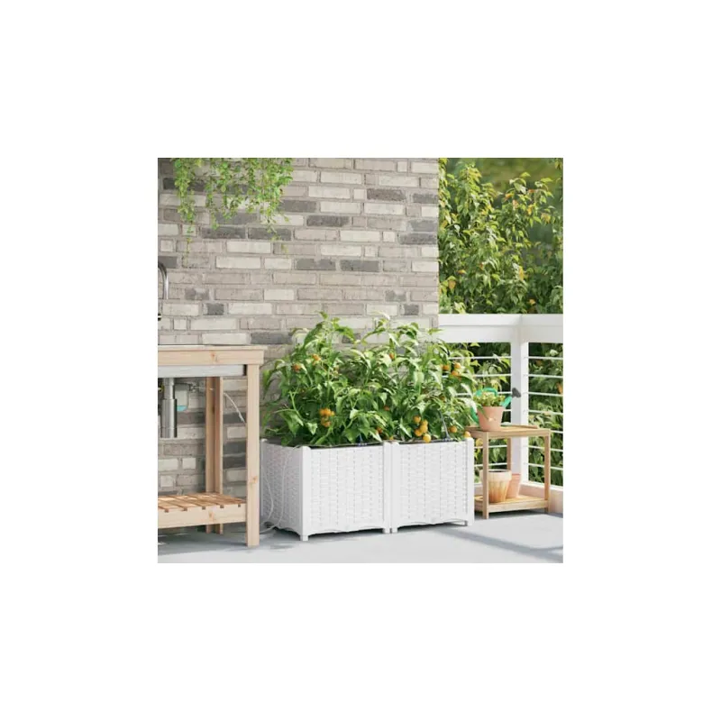 Sodo vazonas 2 pcs Baltas 80 x 40 x 37,5 cm Plastmasė