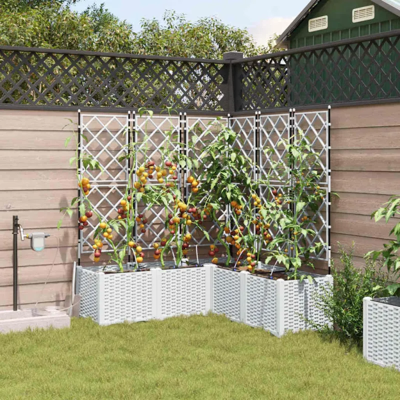 Sodo vazonas 5 pcs Baltas 120 x 120 x 142 cm Plastmasė