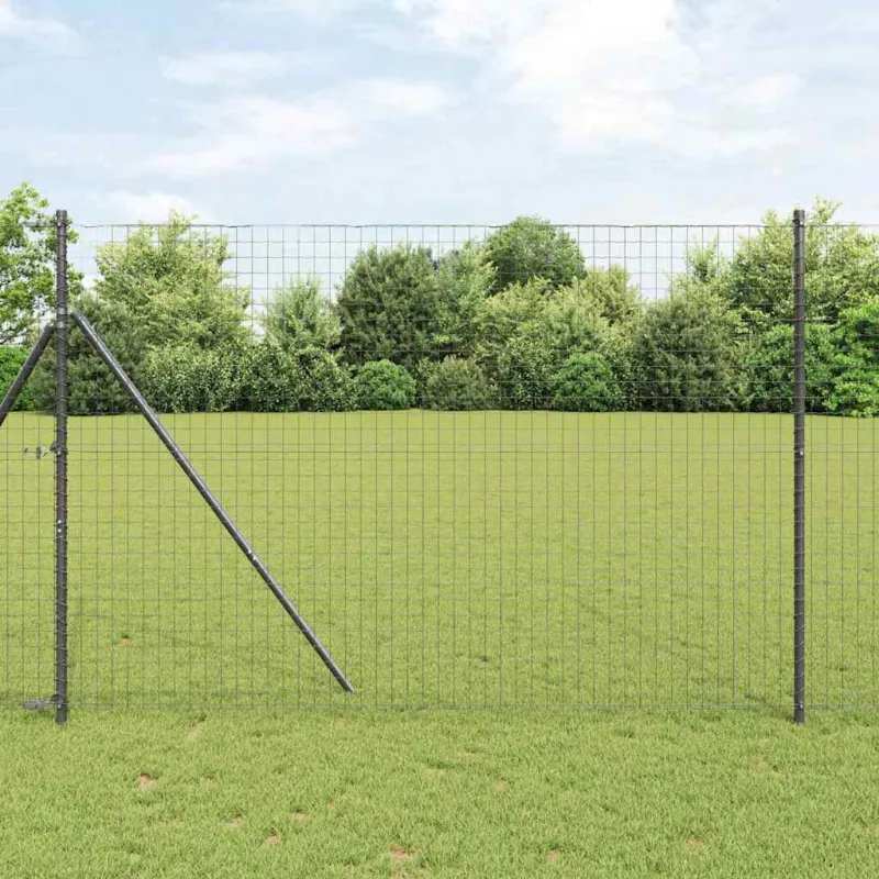 Euro tvora Pilka 1,6 x 10 m PVC padengta geležis