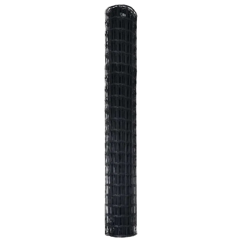 Euro tvora Juoda 1,6 x 10 m PVC padengta geležis