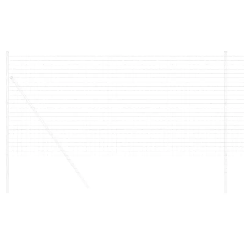 Euro tvora 1,2 x 10 m PVC padengta geležis