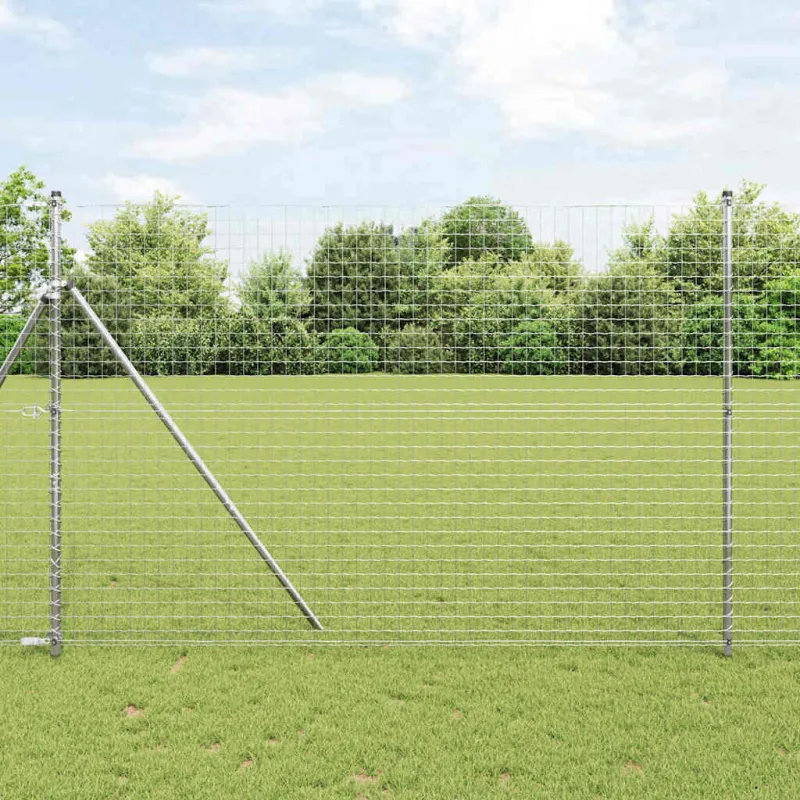 Euro tvora 1,5 x 10 m PVC padengta geležis
