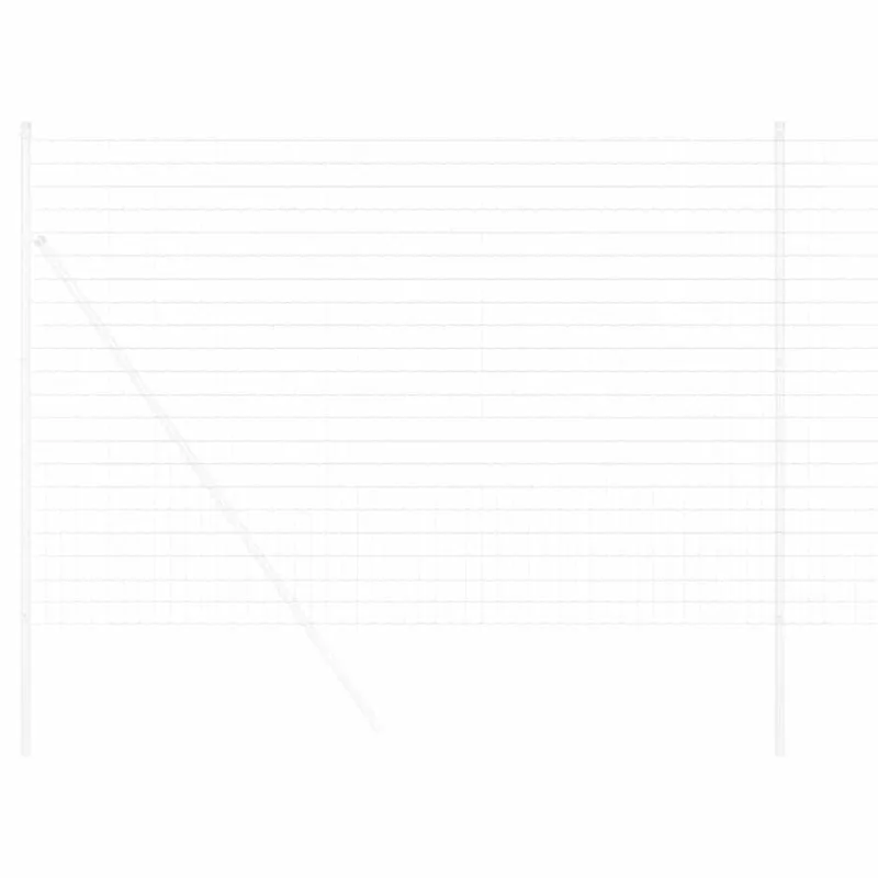 Euro tvora 1,6 x 10 m PVC padengta geležis